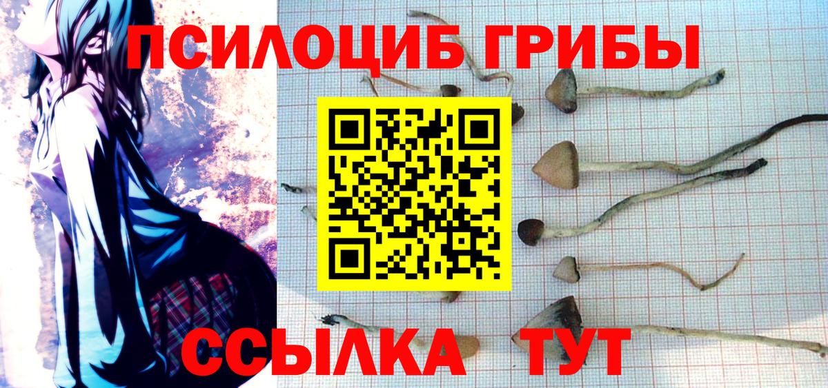 Галлюциногенные грибы GOLDEN TEACHER Соль-Илецк