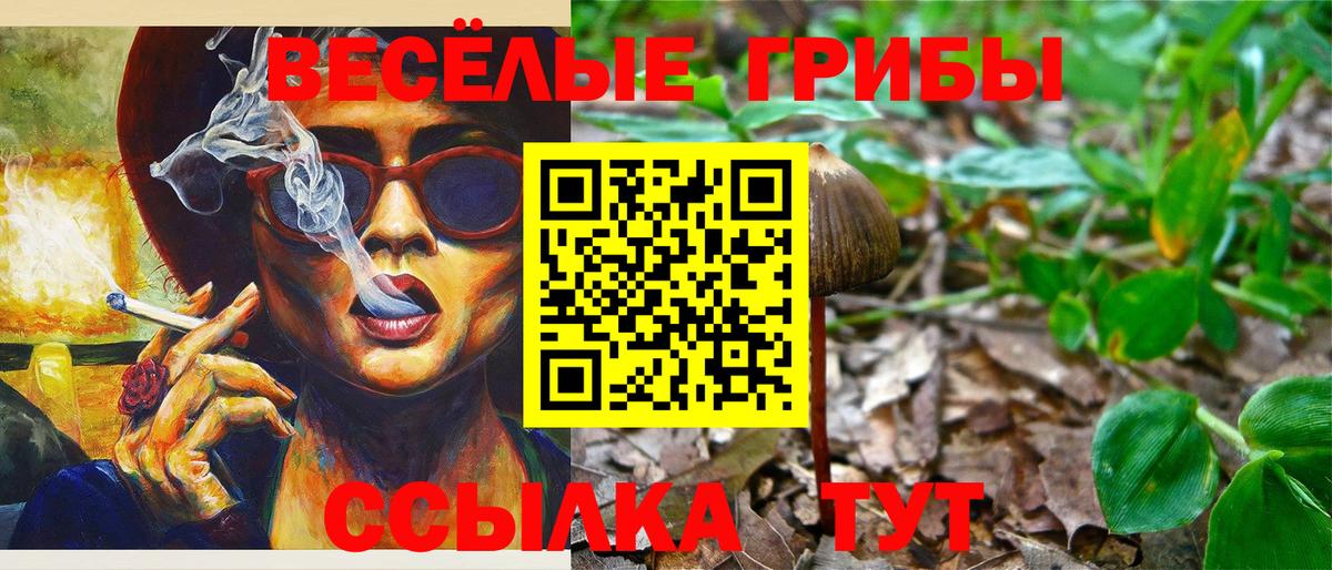 Псилоцибиновые грибы прущие грибы  Вход с VPN  Соль-Илецк 